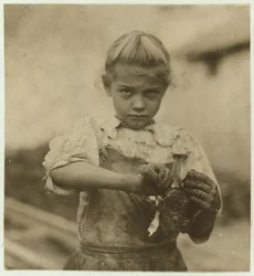 Rosie, Aged 7, Illiterate, Working for a Second Year as an Oyster Shucker at Varn und Platt Canning Company, Bluffton, South Carolina