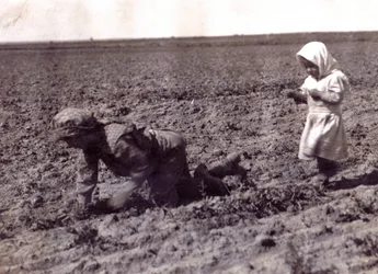 Unknown Image