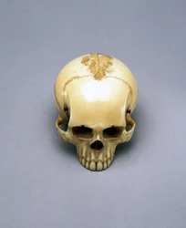Model of a Skull, Probably a Netsuke, Japanese