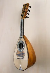 Neapolitan Mandolin