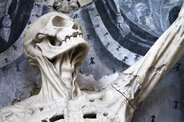 Flayed, or The Skeleton (detail)