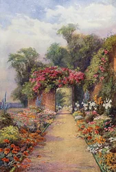 A Summer Evening