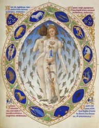 Très Riches Heures du Duc de Berry: Anatomical Man