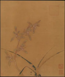 Orchids, second quarter of the 13th century