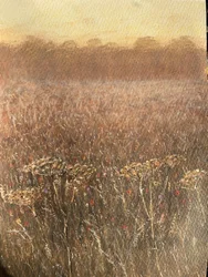 Bean Field Dusk