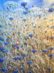 Cornflowers 2