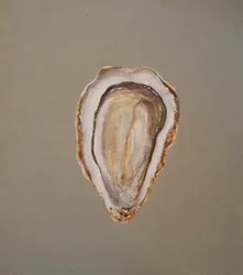 Oyster 1