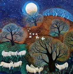 Windy Sheep