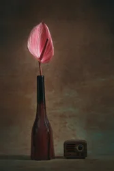 Elegant Anthurium and Radio