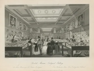 Zoological Room at the British Museum