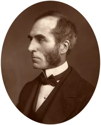 Goldwin Smith, Professor