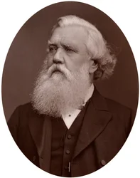 Right Hon Austen Henry Layard DCL, British Ambassador to Constantinople, 1877