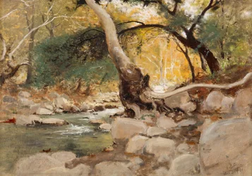 Mission Canyon, Santa Barbara