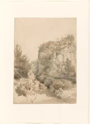 Overgrown Valley with a High Rock and a Stream