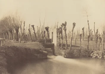 Landscape, Montebello