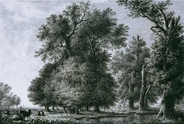 Landscape with Oaks