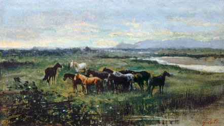 Wild Horses