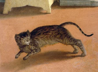 Terrified cat (detail)