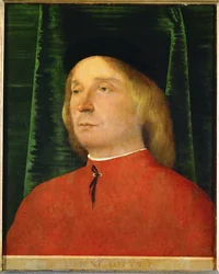 Young Man in a Red Jacket