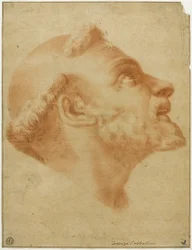 Upturned Head of Saint Dominic