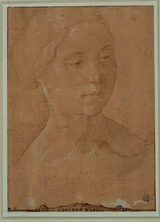 Portrait of a Woman with Hair in a Net