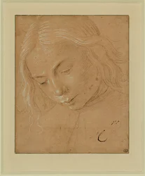 Portrait of a Young Man, Three-Quarter Profile, Bent Forward