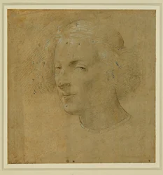 Portrait of a Young Man with Skullcap