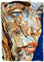 Cracked Wood Portrait