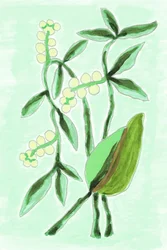 Fresh Botanical Greenery