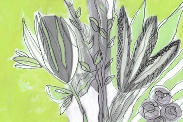 Fresh Green Botanicals