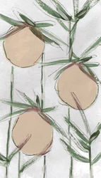 Fresh Painterly Peaches