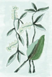 Green Botanical Watercolor