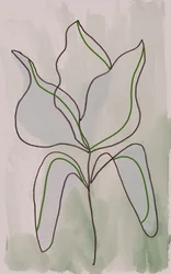 Minimalist Botanical Outline