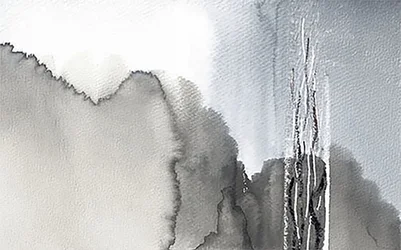 Misty Monochrome Forest