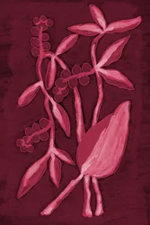 Seed Pod 1 Cherry Red
