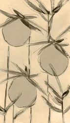 Sepia Cotton Plants