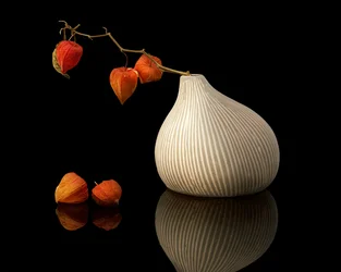 Chinese Lanterns Still Life