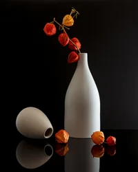 Modern Chinese Lantern Still Life