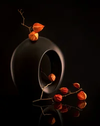 Orange Botanicals Black Vase