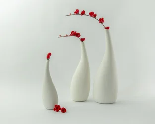 Red Vases and Blooms