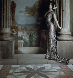 Semi-nude Woman in Diamond-pattern Silver Gown in Classical Interior