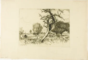 The Dead Apple Tree