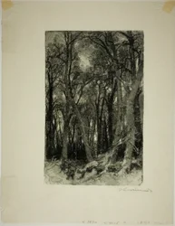 Winter: Bas-Bréau
