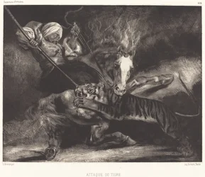 Tiger Attack