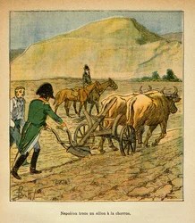 Illustration from 