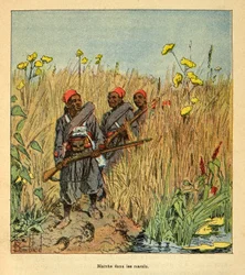 The War in Madagascar: French Troops on Expedition in the Marshes in Madagascar in 1895