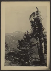 Abe Lincoln Peak