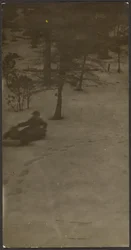 Boy Sledding Down Hill