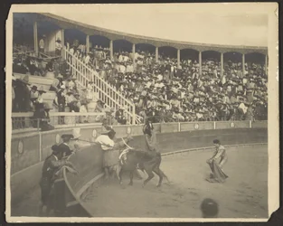 Bullfight