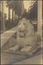 Child on Lion Statue